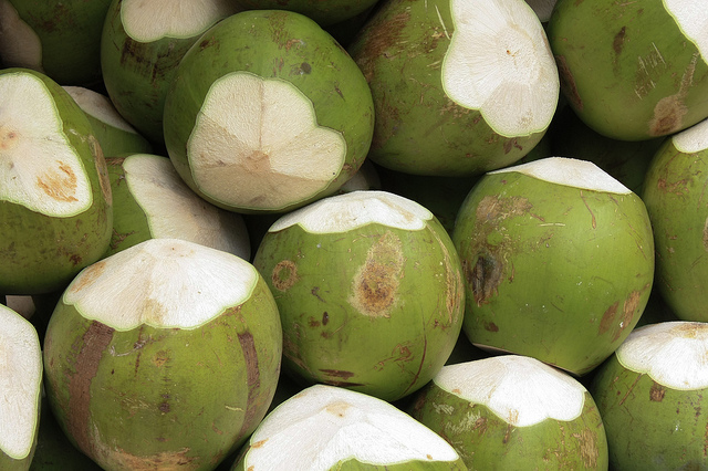 Thailand Fresh Coconut